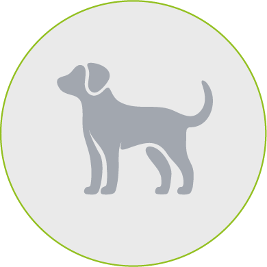 Hundebedarf