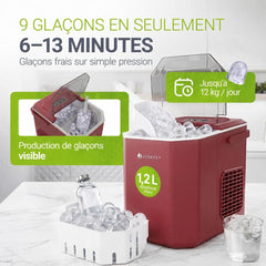 Machine à glaçons autonettoyante IceOracle