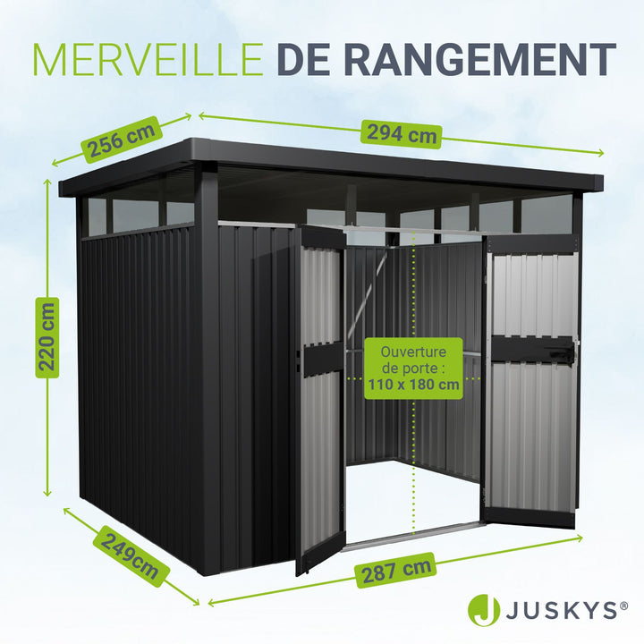 Abri de jardin en métal Lucerne