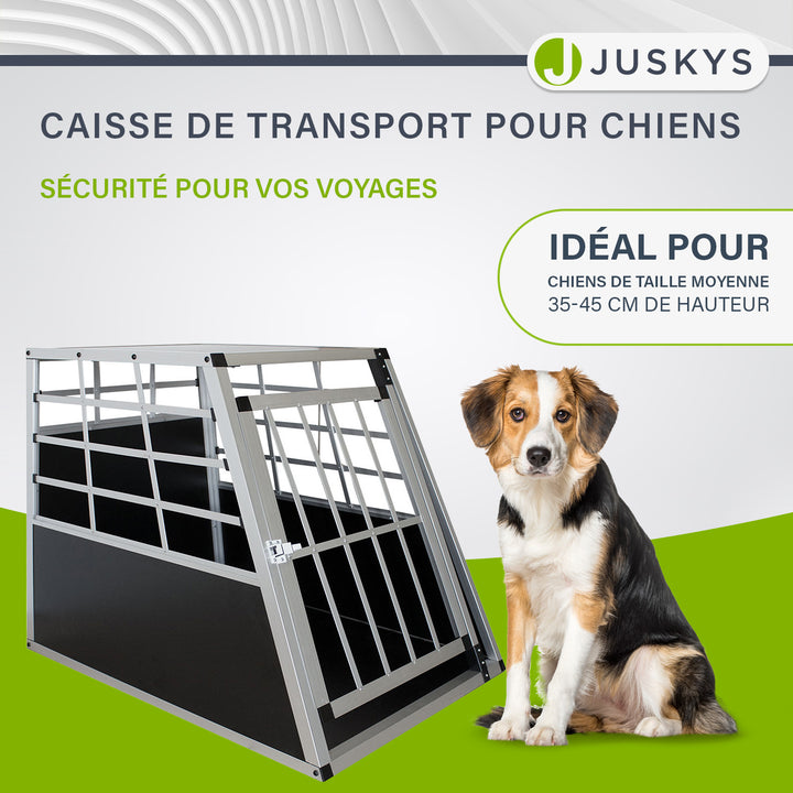 Caisse pour chien en voiture