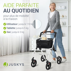 Déambulateur pour la maison