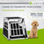 Caisse pour chien en voiture