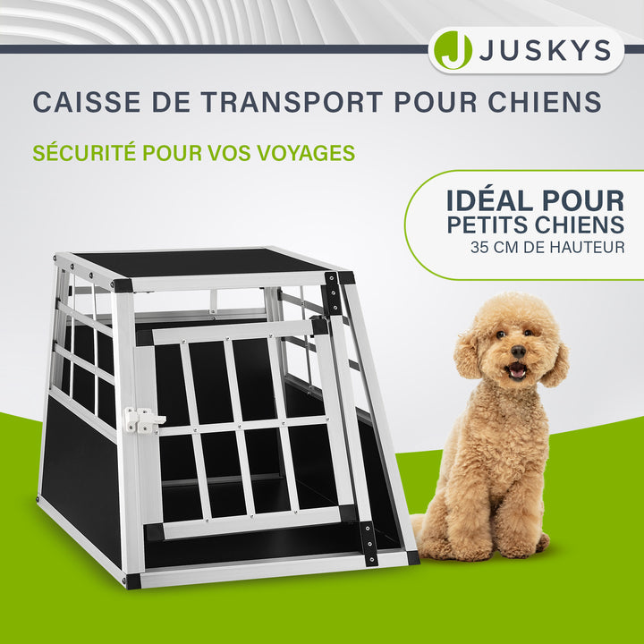 Caisse pour chien en voiture
