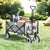 chariot à main pliable