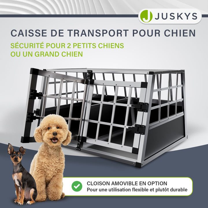 Caisse pour chien en voiture