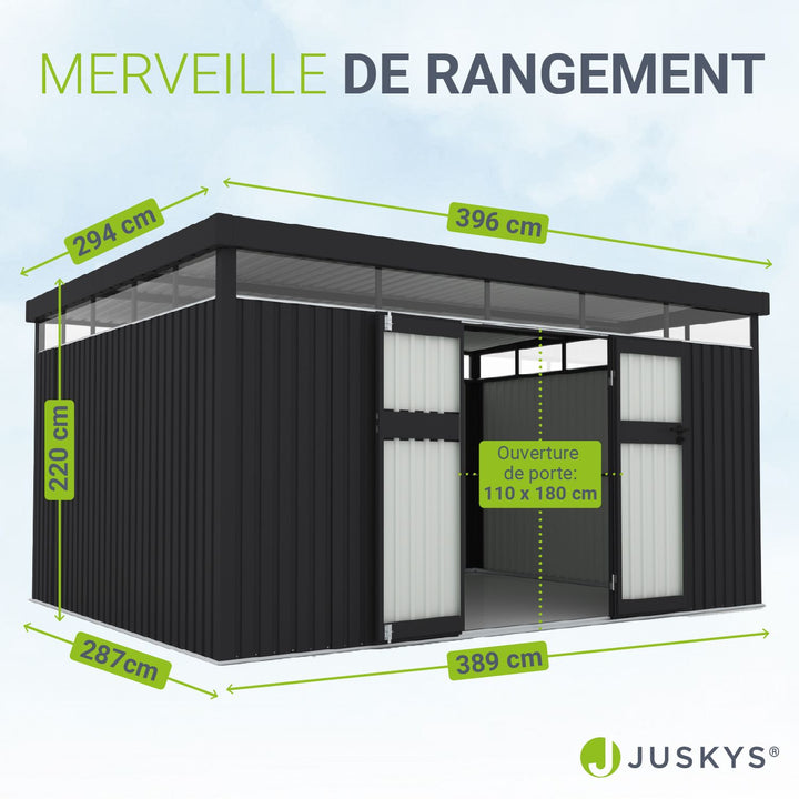 Abri de jardin en métal Lucerne