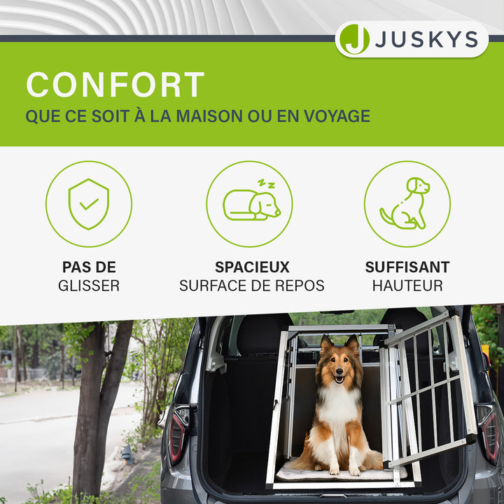 Caisse pour chien en voiture