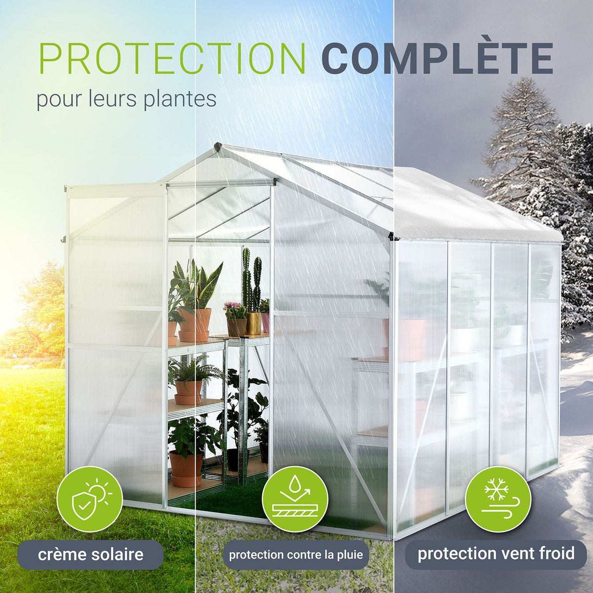 Serre en aluminium avec fondation