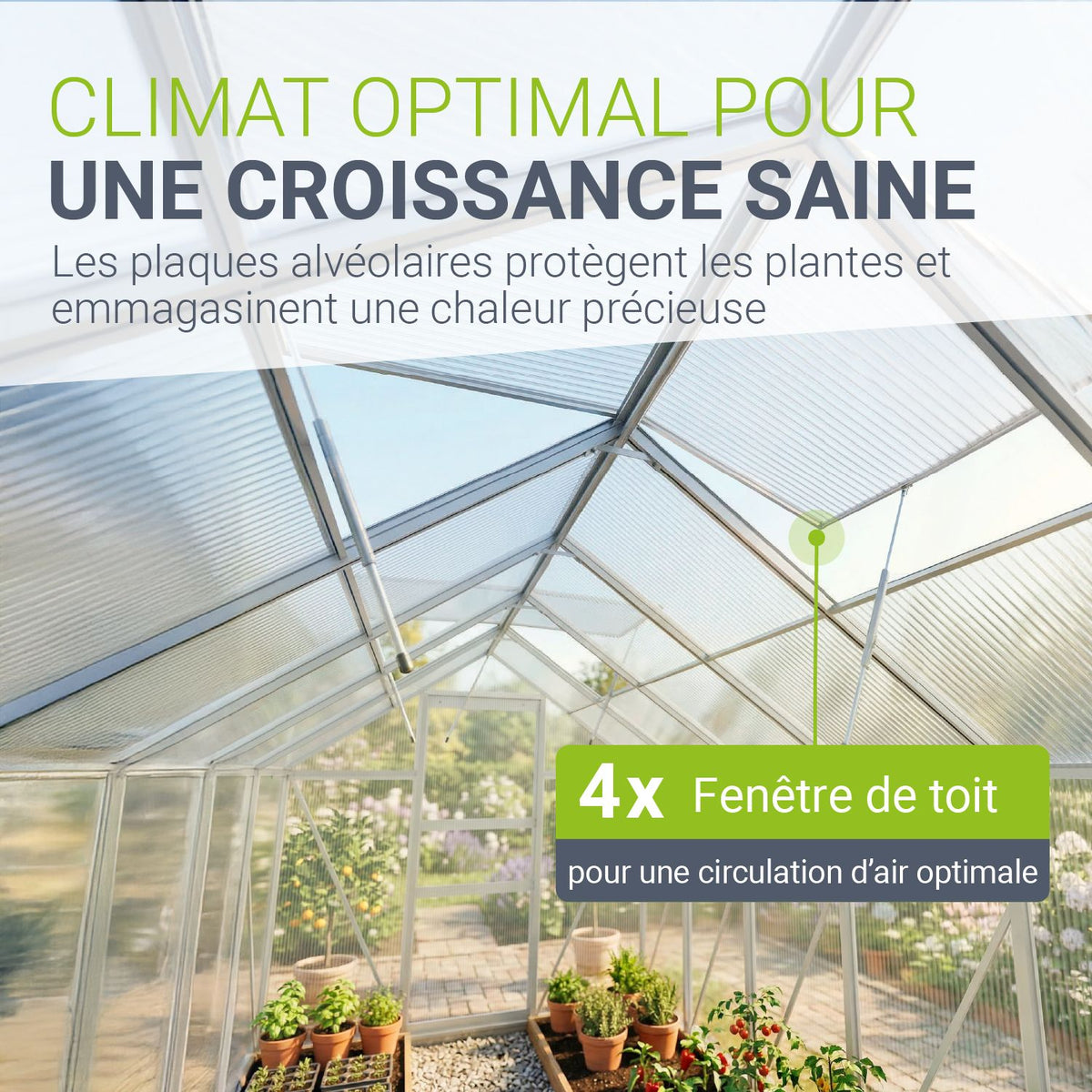 Serre en aluminium avec fondation