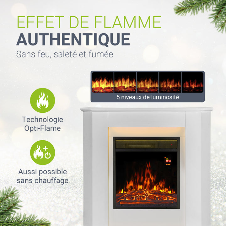 Cheminée électrique
