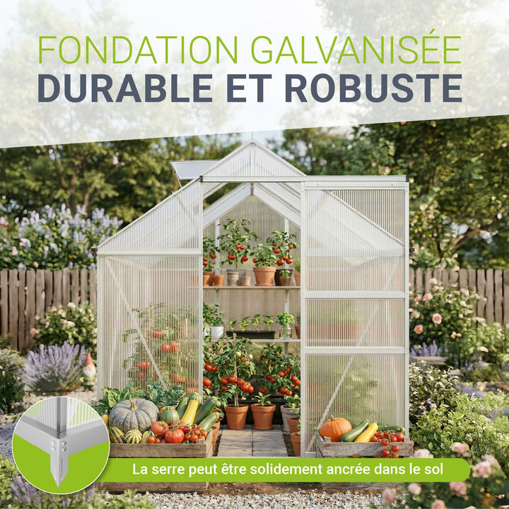 Serre en aluminium avec fondation