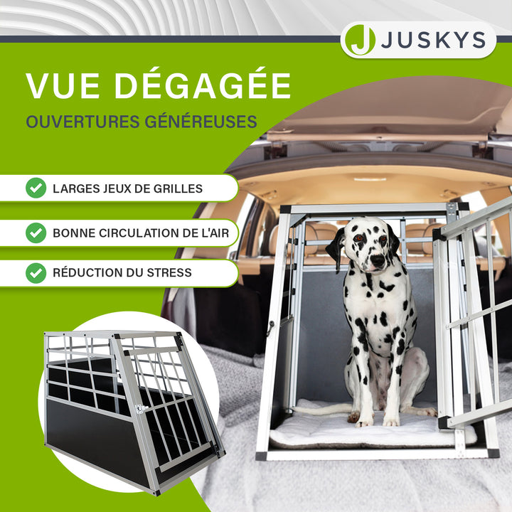 Caisse pour chien en voiture
