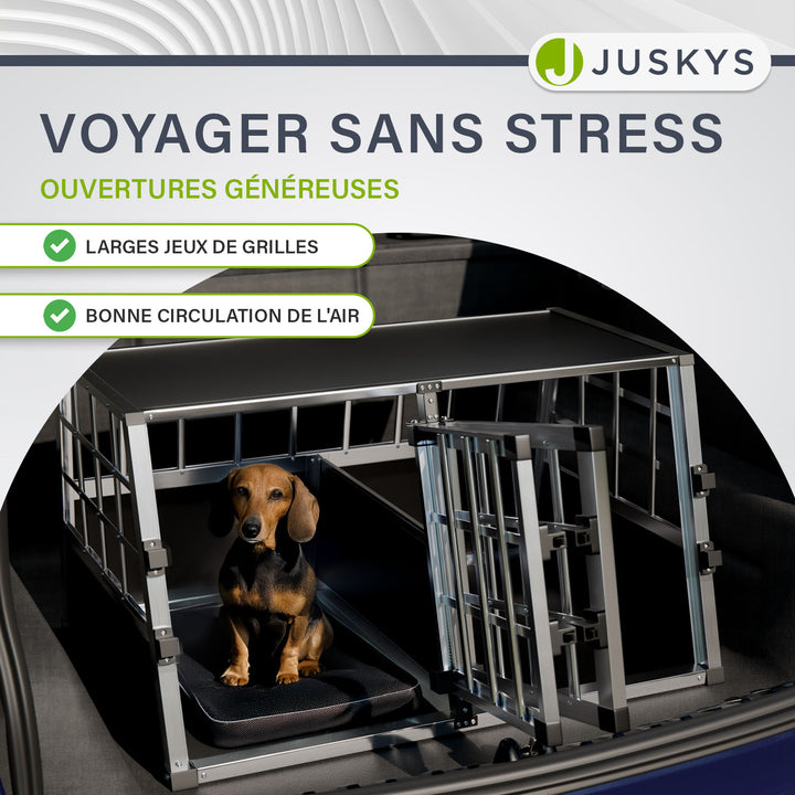 Caisse pour chien en voiture