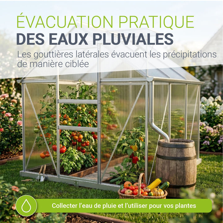 Serre en aluminium avec fondation