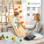Structure d'escalade intérieure pour enfants