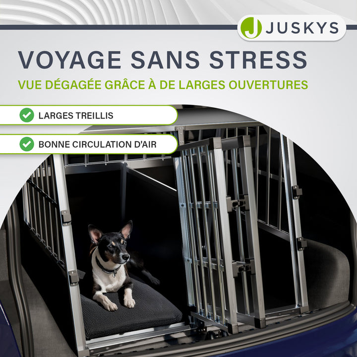Caisse pour chien en voiture