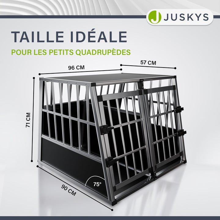 Caisse pour chien en voiture