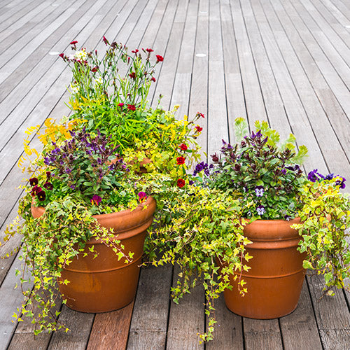 De beaux conseils de conception pour votre balcon 